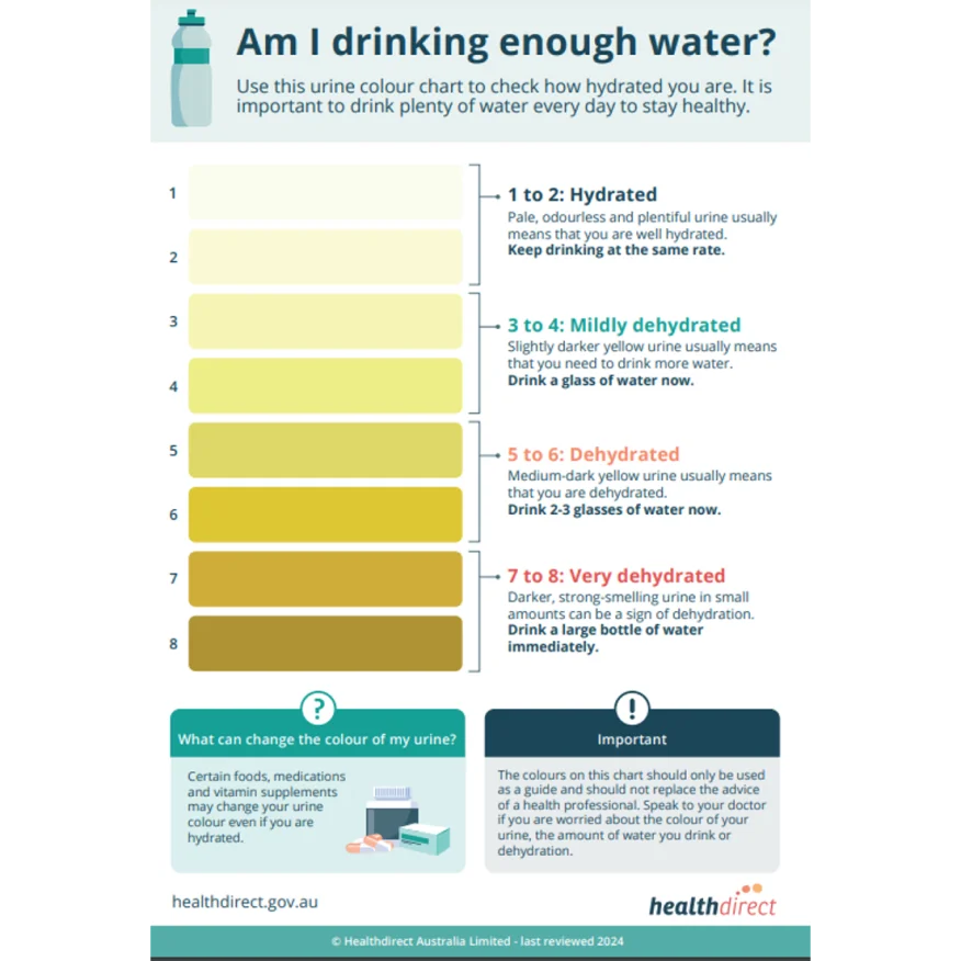 Grafiksel kullanıcı arayüzü, uygulama