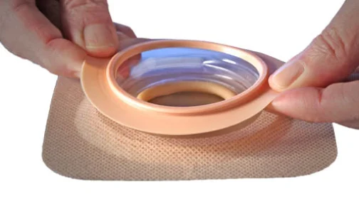 食べ物の入ったボウルを持っている人