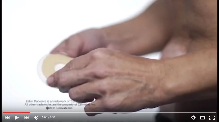 graphical user interface, text, application