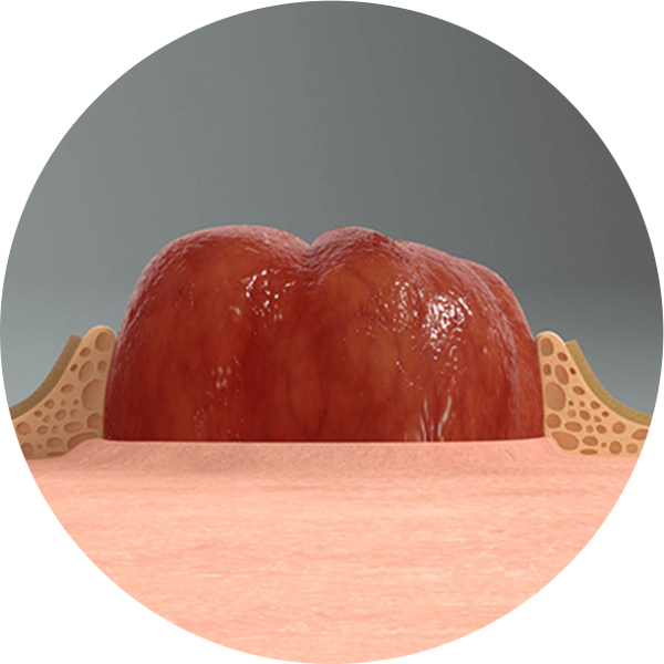 Un primer plano de una bola roja y blanca